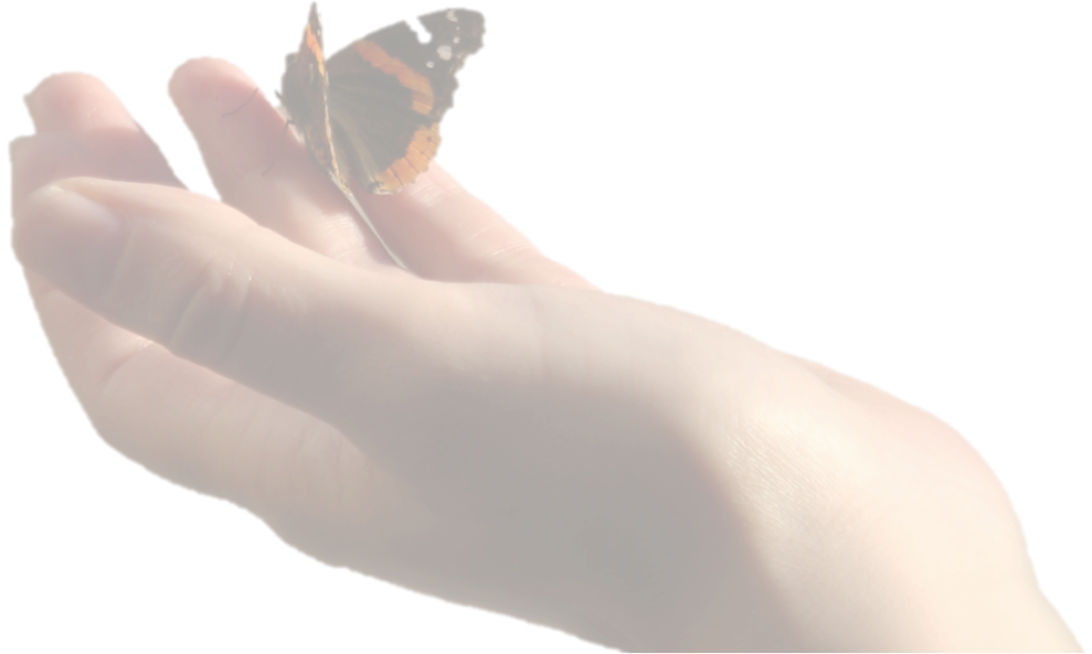 Butterfly-on-hand-Welcome-page.