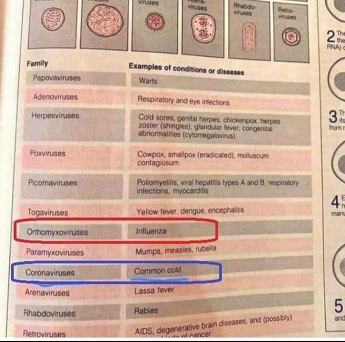 coronOrthoCCinfluenza.