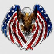 eagle-3-american-flag-tattered-decal__58537.1548448443.