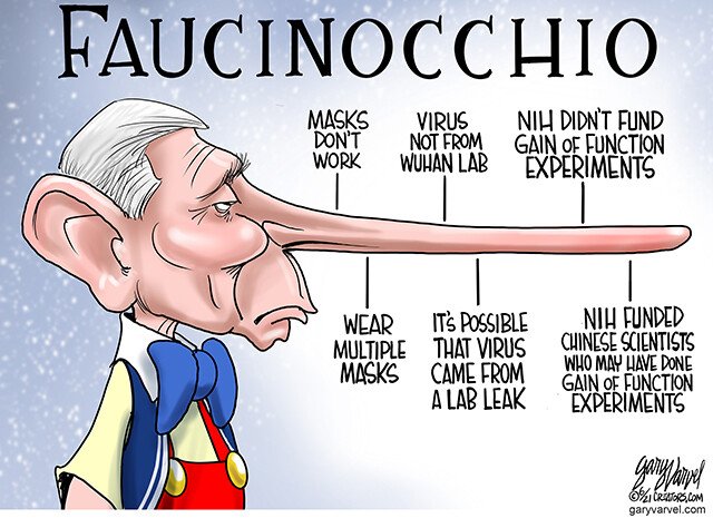 FAUCINOCCHIO.JPG