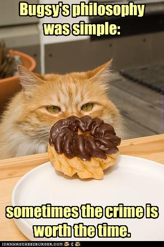 funny-pictures-cat-eyes-a-donut.