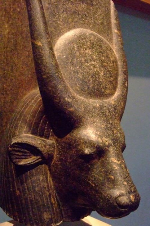 hathor-cow-goddess.