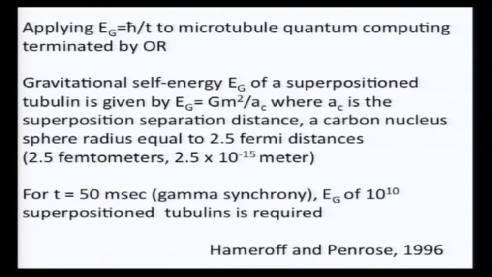 microtubules3-.