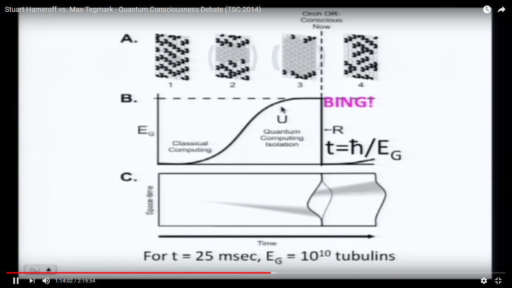 microtubules4-.