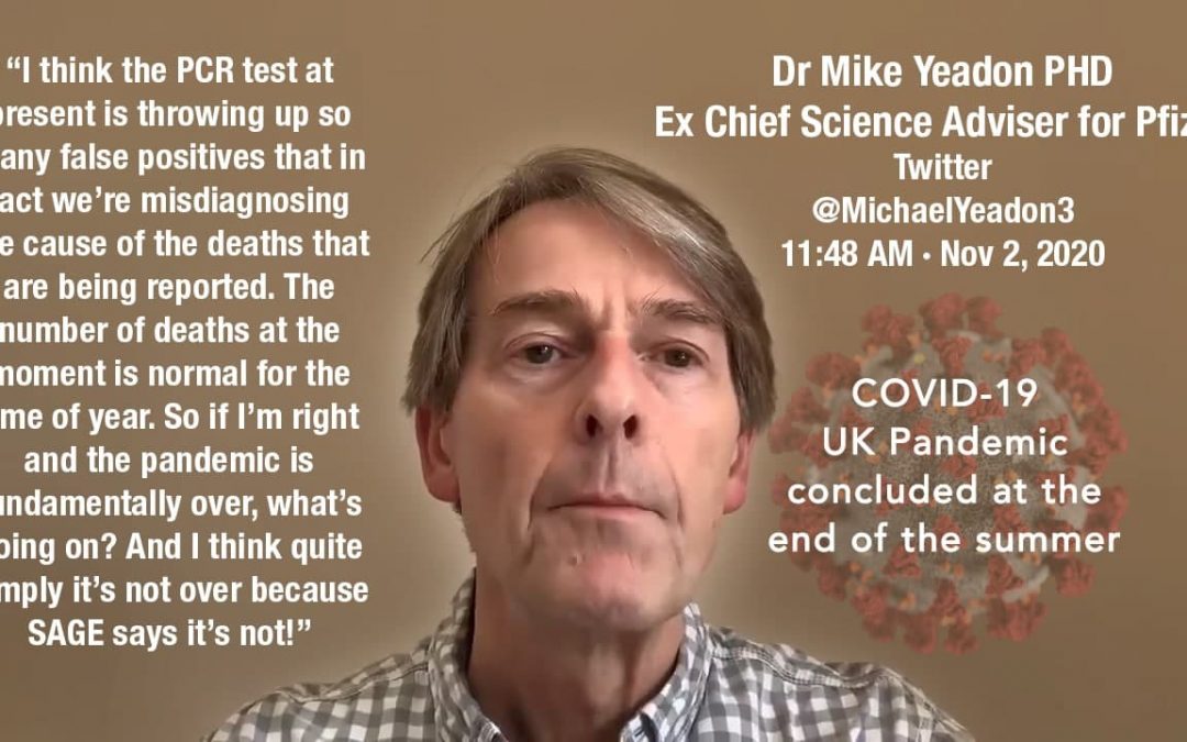 mike-yeadon-former-science-officer-for-Pfizer-says-pandemic-is-over-1080x675.