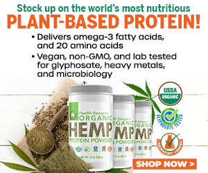 Organic-Hemp-Protein-Powder-MR.