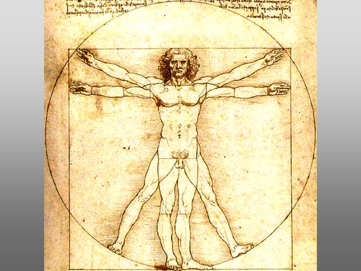 Pillar8-Thought-and-Art-Vitruvian-Man-Leonardo-da-Vinci.