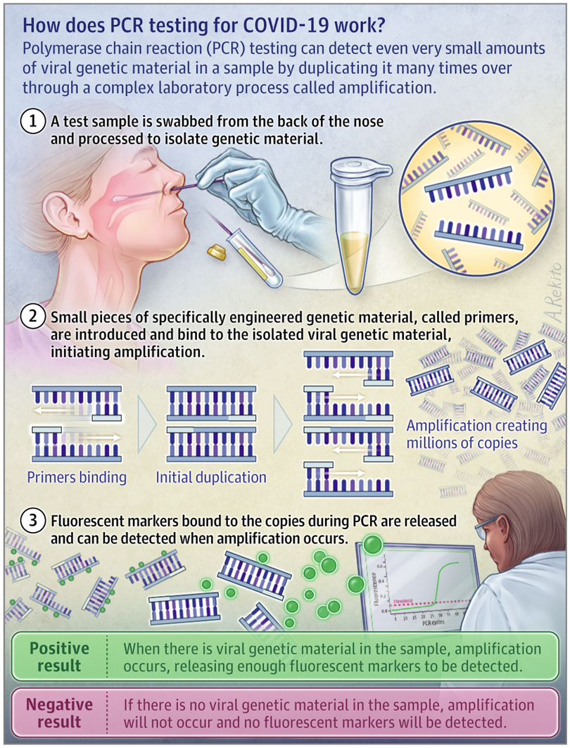 rt-pcr-tes.