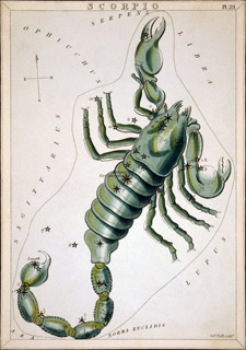 scorpio-constellation.