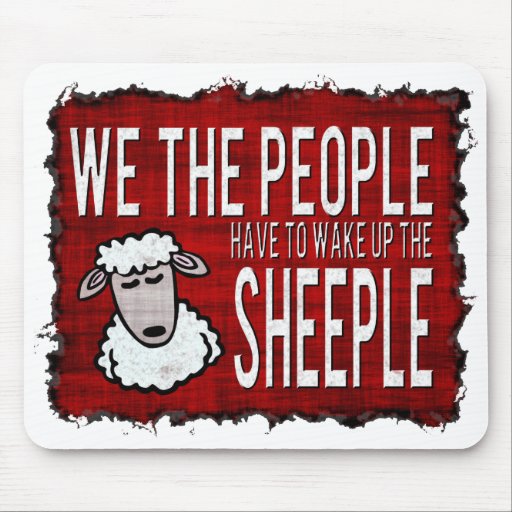 sheeple.