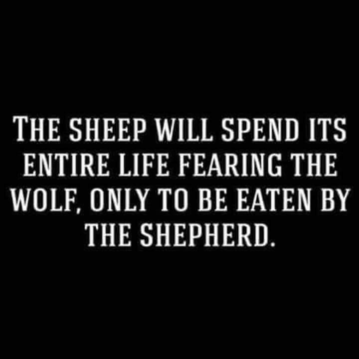 shepWolfSheep.