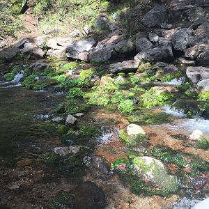 Headwaters Of The Sacramento River