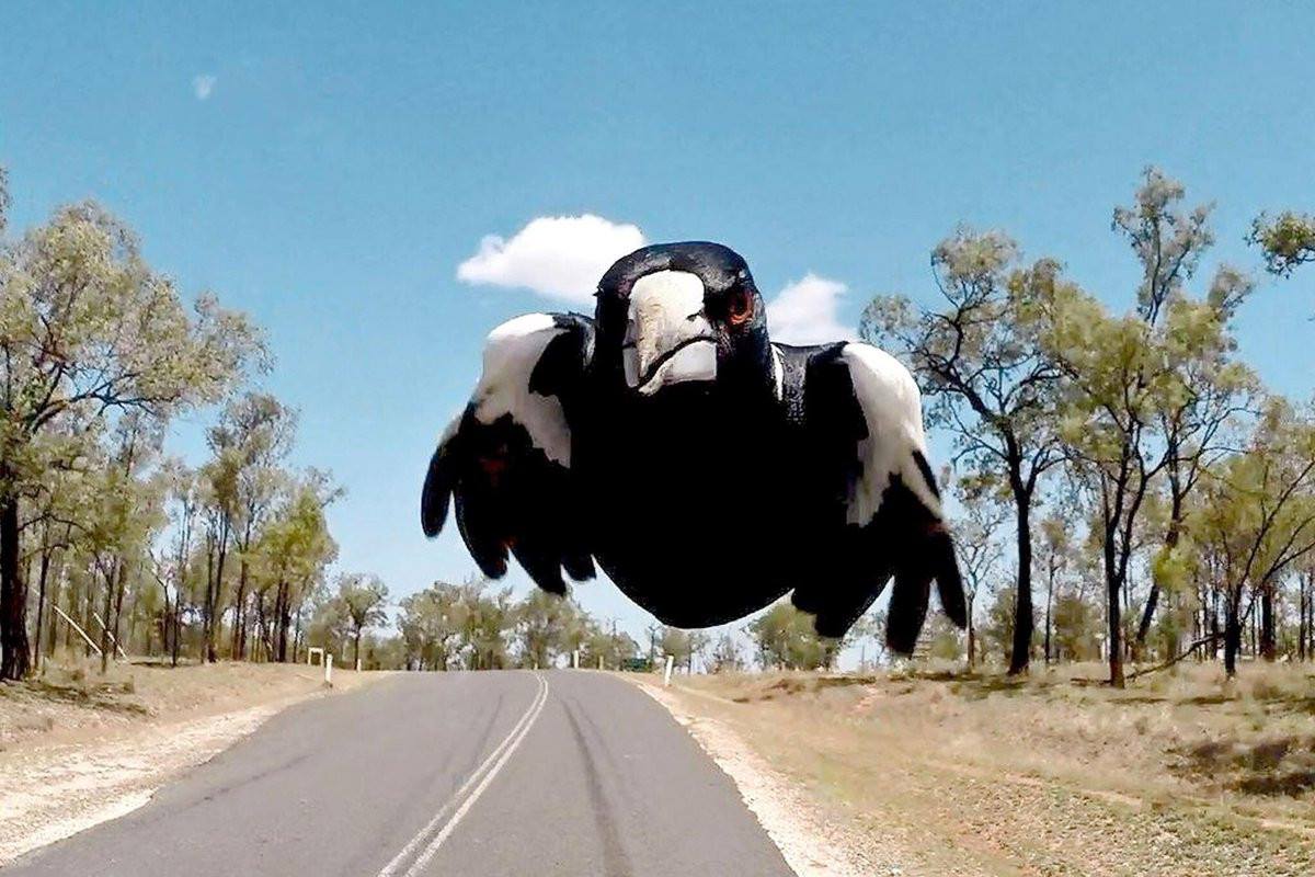 02&ccb=1-7&_nc_sid=730e14&_nc_ohc=mzIMEzQBl30AX8xeDoq&tn=7EKjKmMelBd2rfB4&_nc_ht=scontent-yyz1-1.