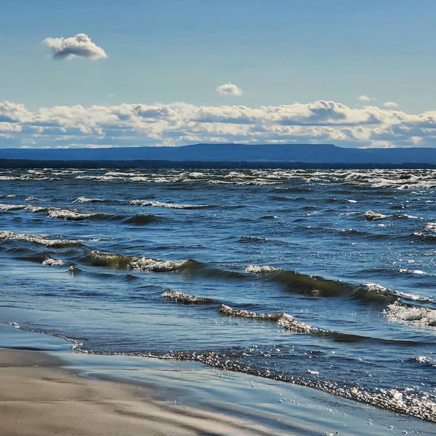 02aug2021MonikaDiski.