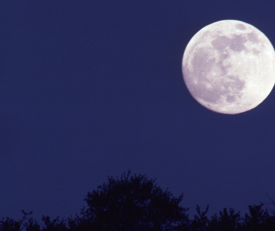 02sep2020fullmoonMaggieWhitcroft.