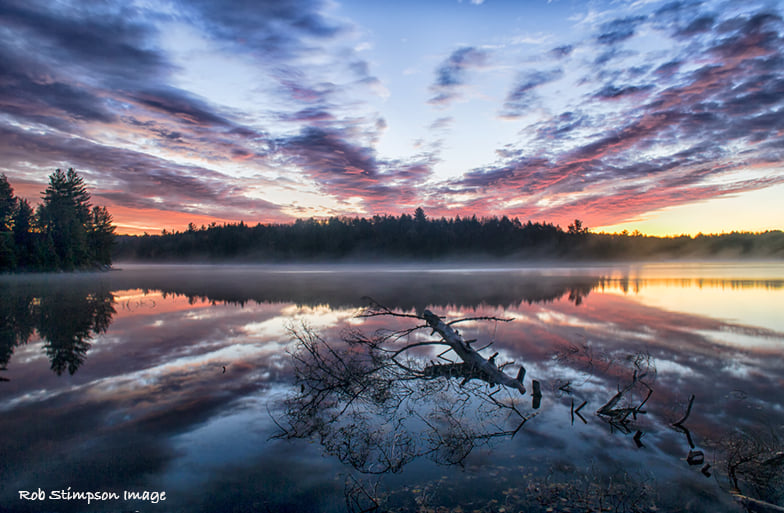 03jan2022RobStimpson.