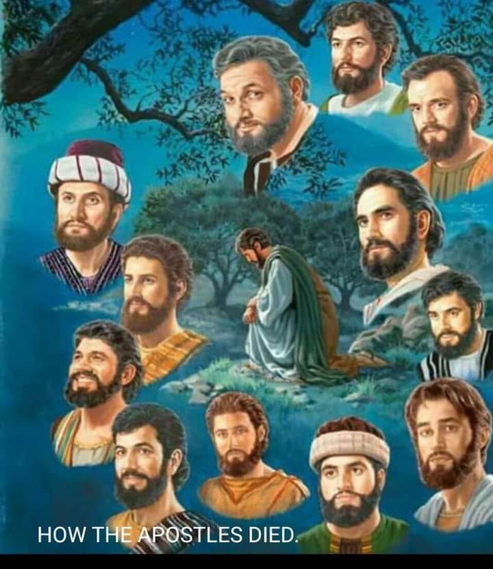 04&ccb=1-6&_nc_sid=8bfeb9&_nc_ohc=fmGdZz28mR0AX_YJl8w&tn=ZdEPRgGV5Q7M7mMw&_nc_ht=scontent-yyz1-1.