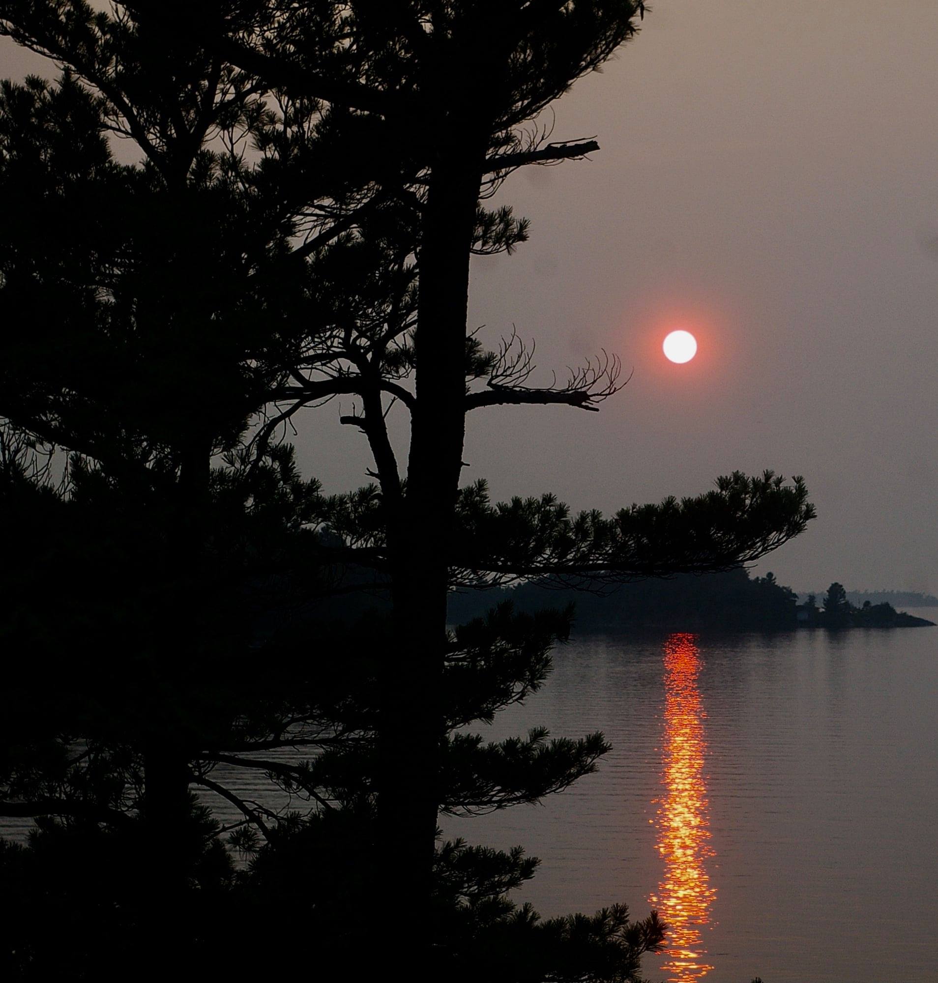 04jan2021barbarakendrick.