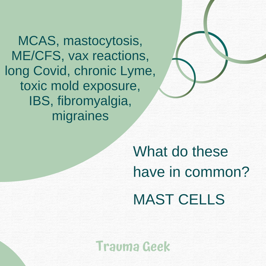 05&ccb=1-7&_nc_sid=730e14&_nc_ohc=Jw3DgculLhoAX9pNB6e&tn=7EKjKmMelBd2rfB4&_nc_ht=scontent-yyz1-1.