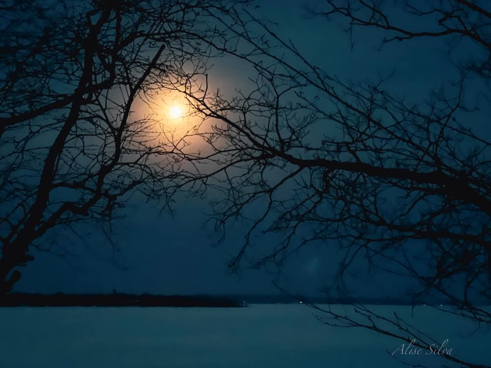 052_n.?_nc_cat=103&ccb=1-5&_nc_sid=5cd70e&_nc_ohc=PPL4RBX1q18AX_rTptz&_nc_ht=scontent.fykz2-1.