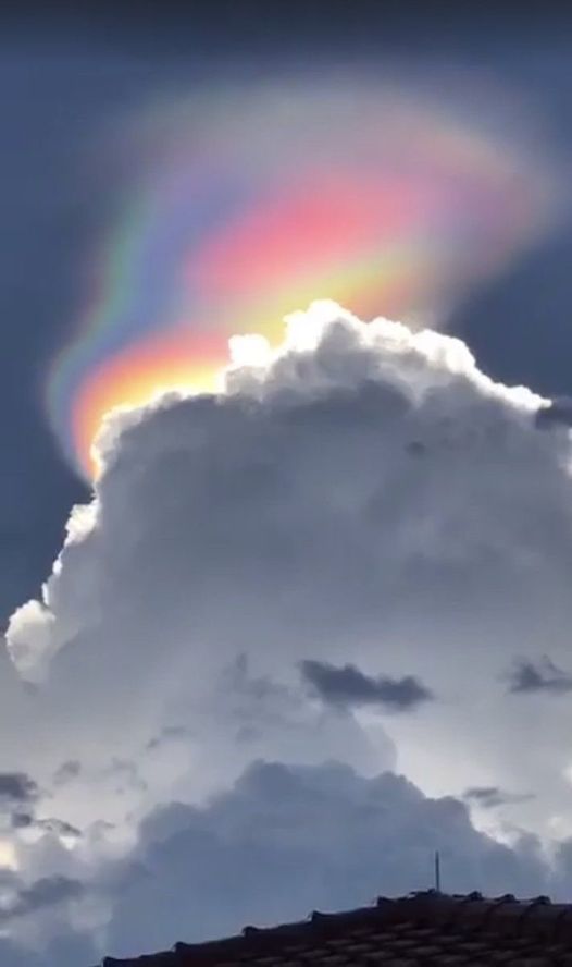 06&ccb=1-5&_nc_sid=730e14&_nc_ohc=O8fPUzVw7nkAX-PidvQ&tn=ZdEPRgGV5Q7M7mMw&_nc_ht=scontent-yyz1-1.