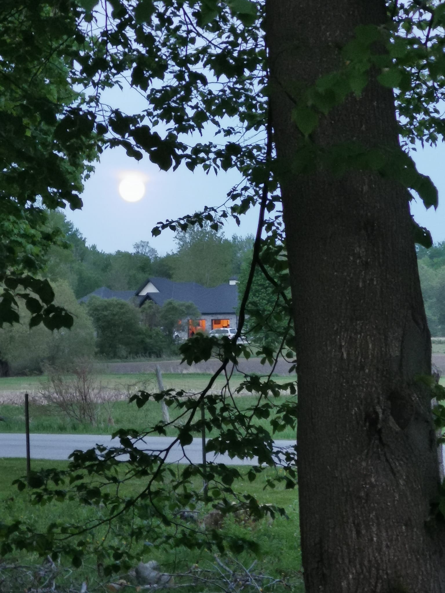 06&ccb=1-6&_nc_sid=730e14&_nc_ohc=Cce_l3AiAVAAX_3oc5h&tn=ZdEPRgGV5Q7M7mMw&_nc_ht=scontent-yyz1-1.