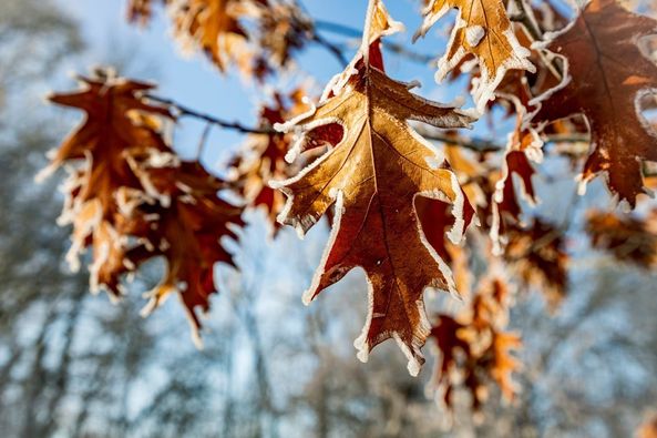 075_n.?_nc_cat=108&ccb=1-5&_nc_sid=730e14&_nc_ohc=a6gU8sbBBs0AX_92N7N&_nc_ht=scontent.fykz2-1.