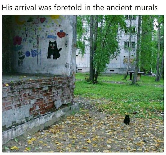 08&ccb=1-7&_nc_sid=730e14&_nc_ohc=IBTvA31SVCkAX_rpLsx&tn=7EKjKmMelBd2rfB4&_nc_ht=scontent-yyz1-1.