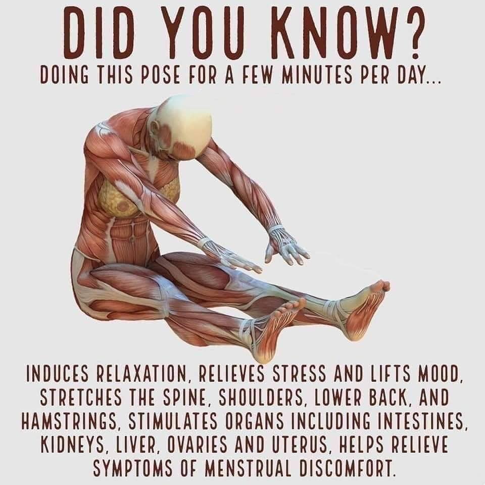 09280_n.?_nc_cat=1&ccb=1-5&_nc_sid=8bfeb9&_nc_ohc=ixPLpZRB5qwAX_ted2G&_nc_ht=scontent.fykz2-1.