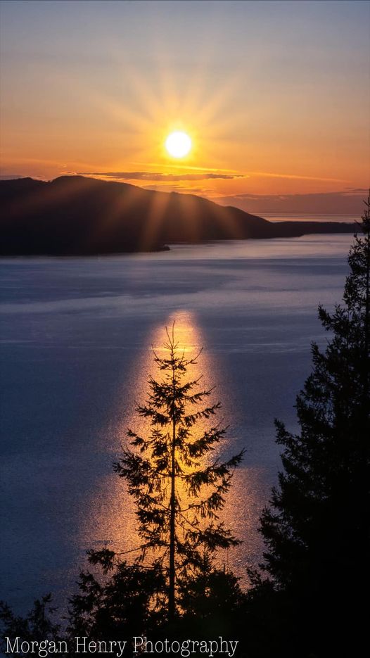 09may2021morganHenry.