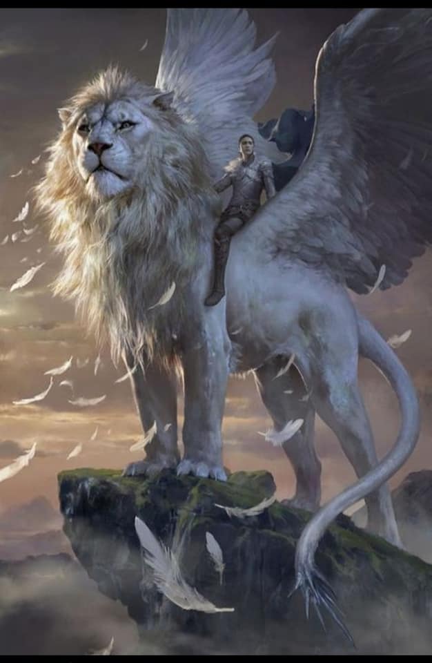 1&ccb=1-5&_nc_sid=8bfeb9&_nc_ohc=mhGsRYXWV3cAX-7ml1y&tn=ZdEPRgGV5Q7M7mMw&_nc_ht=scontent.fykz2-1.