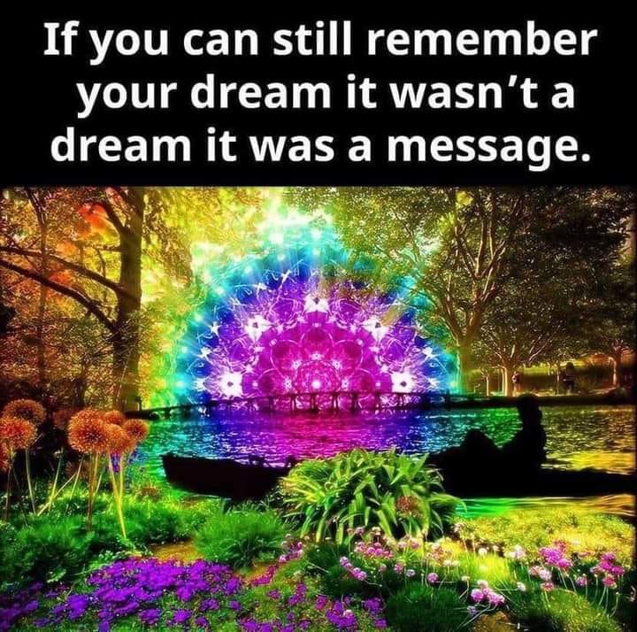 10&ccb=1-7&_nc_sid=8bfeb9&_nc_ohc=GIqKOrweN84AX8ko9Mj&tn=fcIFEzN8J1KIfwM9&_nc_ht=scontent-yyz1-1.