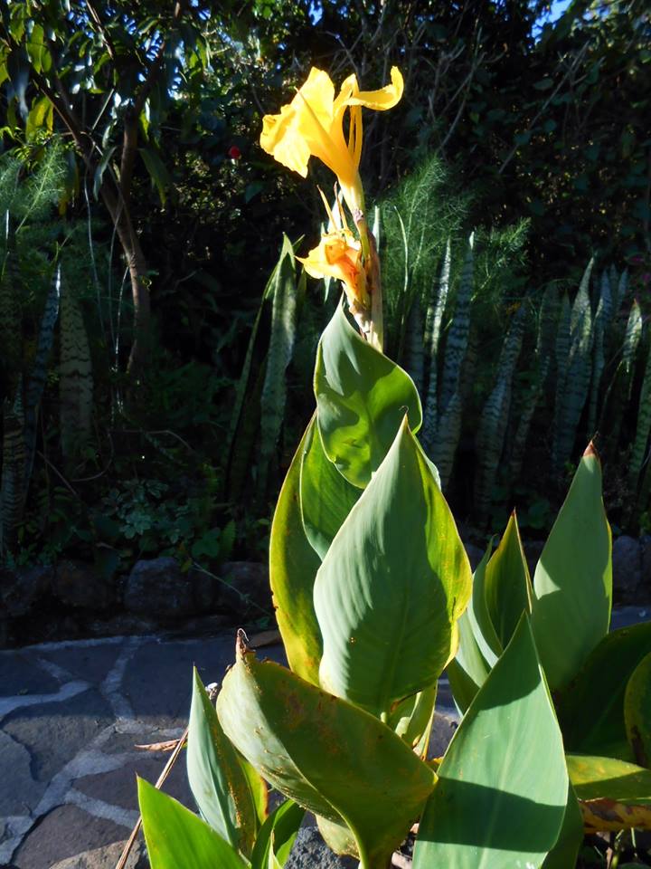 10257695_952257324802000_2264659644183640809_n.