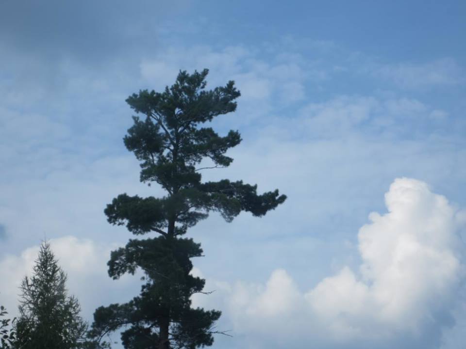 10269550_10152543955222581_4676871453105082812_n.