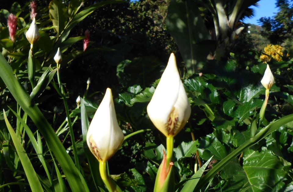 10302635_952257254802007_1312371208592148141_n.