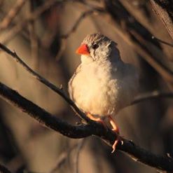 10354675_10202290586021171_9174944851742224284_n.