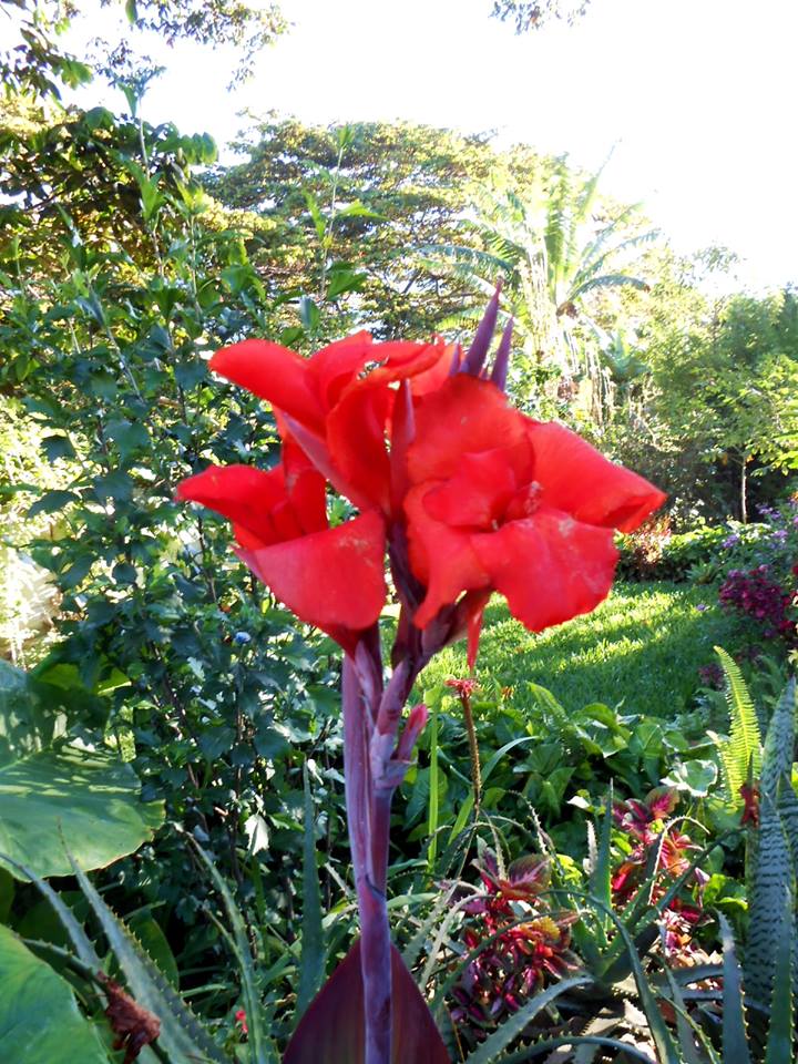 10366168_952257551468644_5965446240260157512_n.