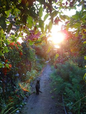 10377068_948566651837734_4916366513751016303_n.