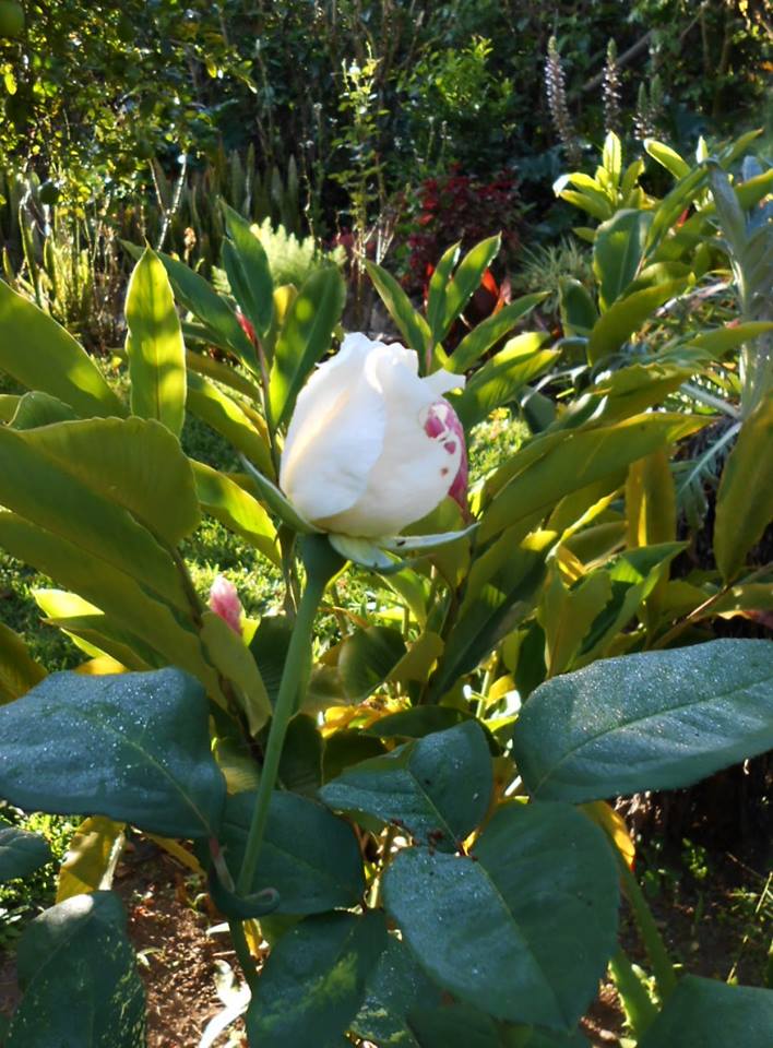 10426792_952257611468638_4137463306374573342_n.