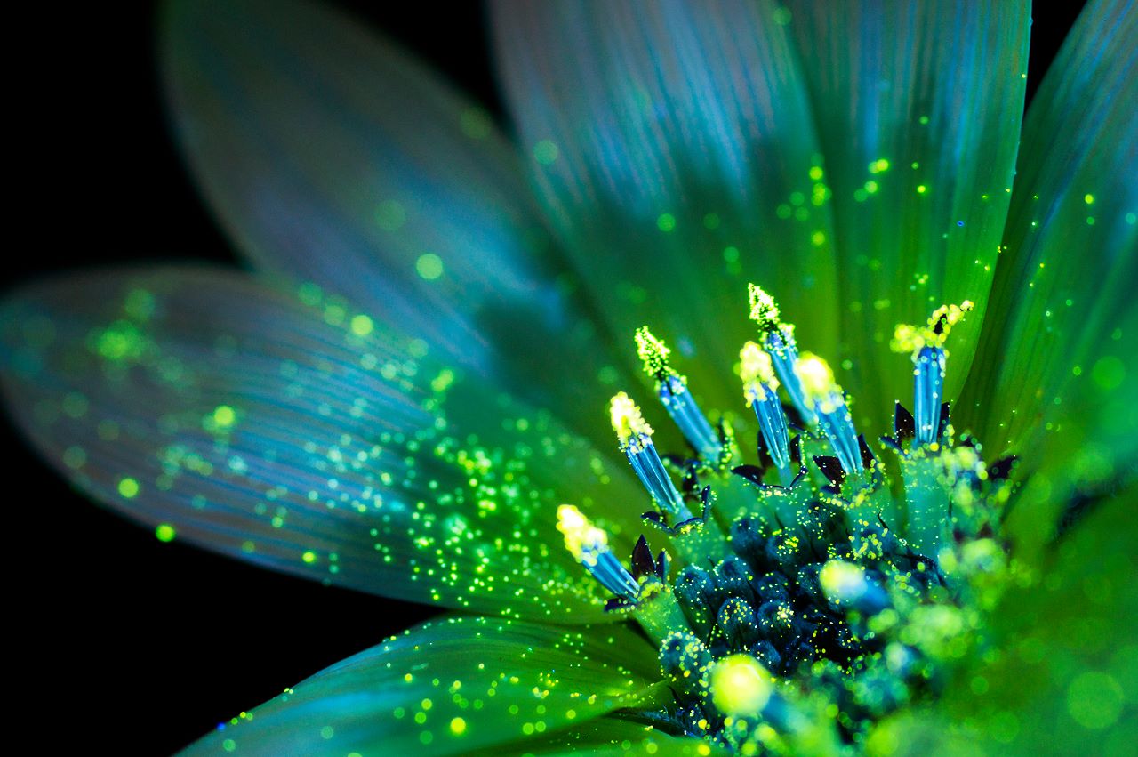 10428265_836858899686967_4814338221867772886_o.