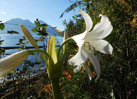 10478116_952255181468881_7938475630395761233_n.