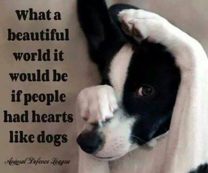 10592831_10152264189001339_6126810026258170082_n.