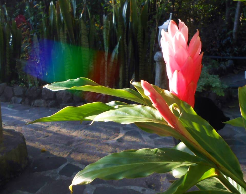 10624565_952257468135319_5040977496211313439_n.