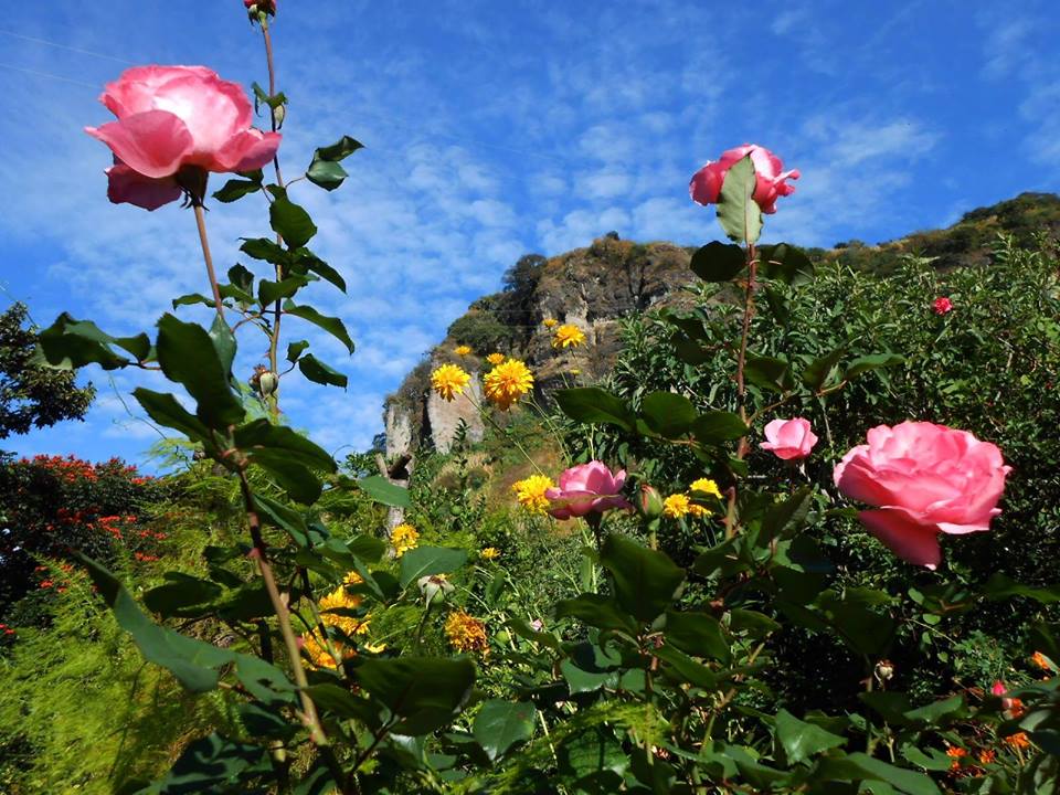 10624724_946916315336101_8491695684752962207_n.