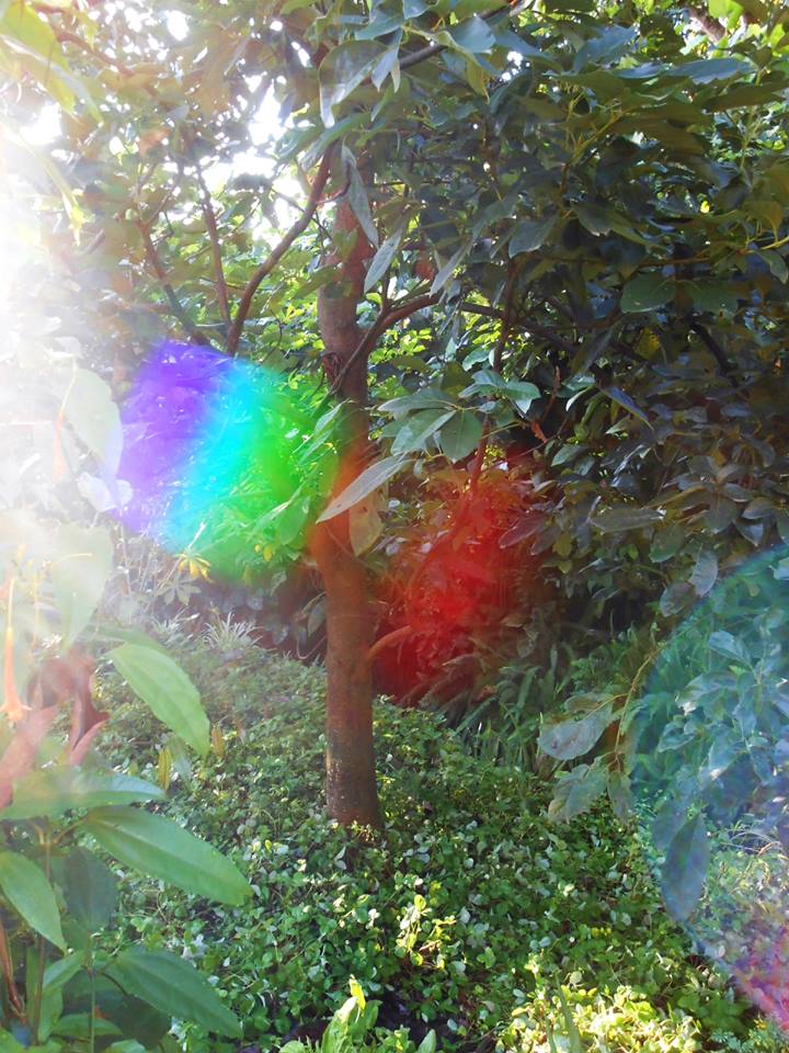 10625164_947937648567301_5421724449224064226_n.