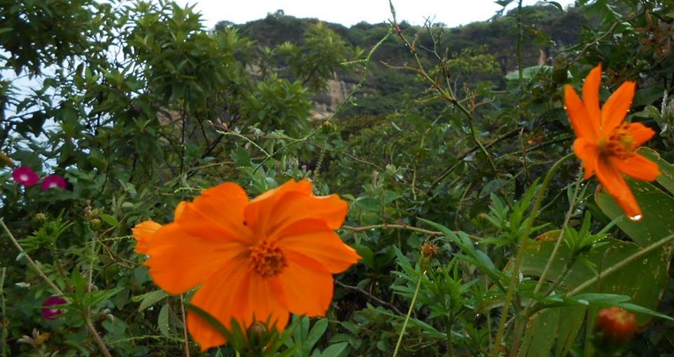 10628180_933706306657102_3730987593938539189_n.