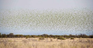 10647120_10202290579341004_3532672010207382883_n.