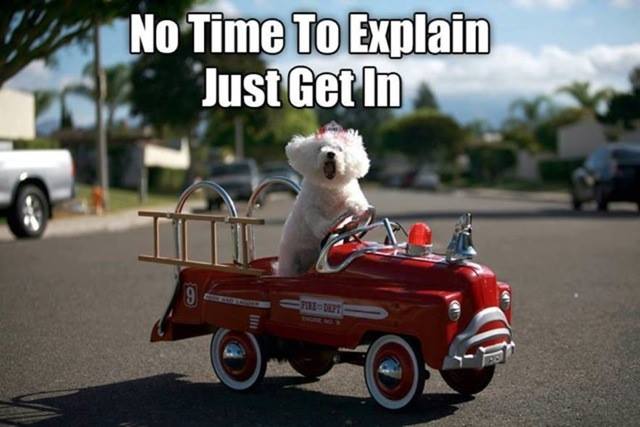 10665264_10152311484212581_5203227051825669297_n.