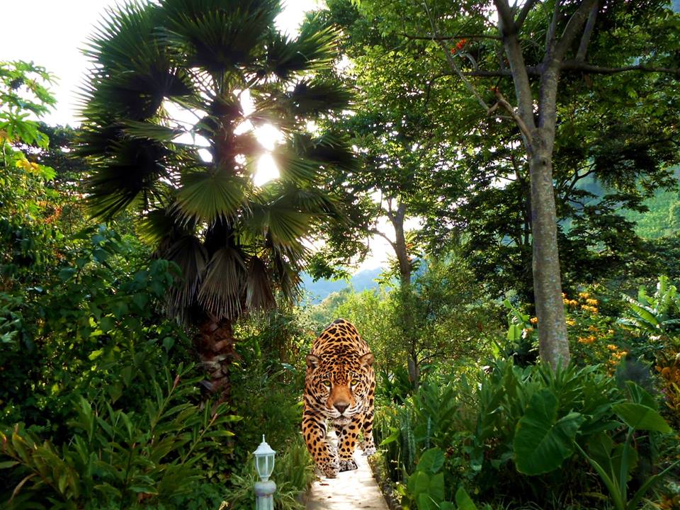 10710991_908903609137372_3600912749927858633_n.