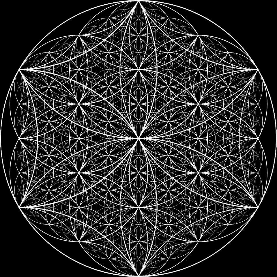 10731211_862226967143733_7179461702494697800_n.